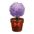 thumbnail image 4 of LEEYNEER Clearance Christmas Simulation Crystal Flower 6 Colors 12 Crystals Chemical Science Experiment Fast Growth In 24 Hours DIY Kit Family Toy Gifts For Boys And Girls Best Gift, 4 of 5