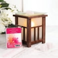 thumbnail image 4 of Cubes de cire parfumée ScentSationals - Monde imaginaire, 4 of 4