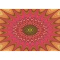thumbnail image 1 of Ahgly Company Tapis Rectangulaire Orange Lavable en Machine, 2 Pieds x 4 Pieds, 1 of 7