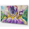 thumbnail image 2 of Iris Fleur Gros Plan, 2 of 3