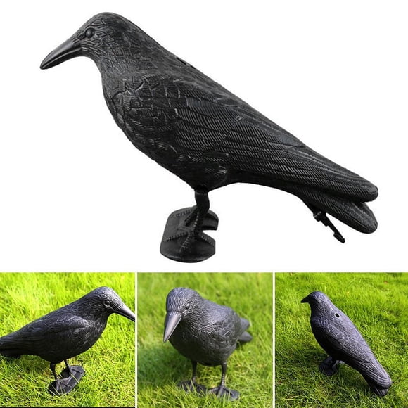Leurre de Corbeau Noir Simulation Tir Chasse Leurre Plastique Décoration de Jardin Paysager (hybm_us) Réaliste Pratique Simulation de Jardin de Chasse Corbeau Noir Plastique Dur Simulation Corbeau Noir