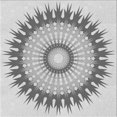 thumbnail image 1 of Ahgly Company Tapis d'Intérieur Lavable à la Machine, Carré, Transitionnel, Gris, Tapis de Zone, 8 Pieds Carré, 1 of 7