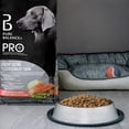thumbnail image 3 of Pure Balance Pro+ Healthy Aging, Salmon & Brown Rice Recipe Dry Dog Food 3.5KG, 3 of 8