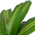 thumbnail image 2 of vidaXL Artificial Dracaena Plant with Pot 90 cm Green, 2 of 2