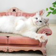 thumbnail image 2 of kurtrusly Pet Cat Scratching Board Bed Sofa for Sleeping Indoor Sunbathing Scratcher, 2 of 9