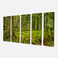 thumbnail image 2 of Lush Rainforest in Cathedral Grove - Landscape Canvas Art Print, 2 of 3