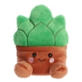 thumbnail image 1 of Aurora Palm Pals - Gigi Succulent 5 Pouces, 1 of 3