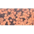 thumbnail image 2 of Advantus SUL5-100 0.6 oz Sulyn Glitter, Orange, 2 of 2