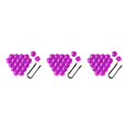 thumbnail image 2 of Ruiboury 20 Pièces de Voiture Écrou de Roue Bouchons Moyeu Automatique Vis Couvercle Anti-Poussière Automobile Violet 17mm 3Set, 2 of 6