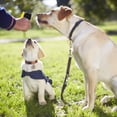 thumbnail image 3 of TIELUTT Whistle Clicker 2 in 1 Dog Training Device Dog Stop Barking Dog Devices Automatic Cat Clicker Training Set Dog Whistle Stop Cats from Jumping on Counter Stop Dog Barking Device Outdoor Long Ra, 3 of 3