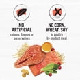 thumbnail image 2 of Beyond Simply Salmon & Whole Brown Rice Recipe, Dry Cat Food 1.36kg, 2 of 8