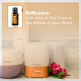 thumbnail image 4 of doTerra Citrus Bliss Essential Oil Blend 15 ml, 4 of 9