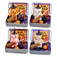 thumbnail image 4 of stanreset Handmade Cute Witch Teddybear In Box Miniature Witcher With Broom Pumpkin Cat Halloween Party khaki, 4 of 6