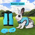 thumbnail image 1 of Becaristey Hamster Mesh Harness Leash Multiple Colors Available Lightweight Breathable And Lightweight Grey M, 1 of 6