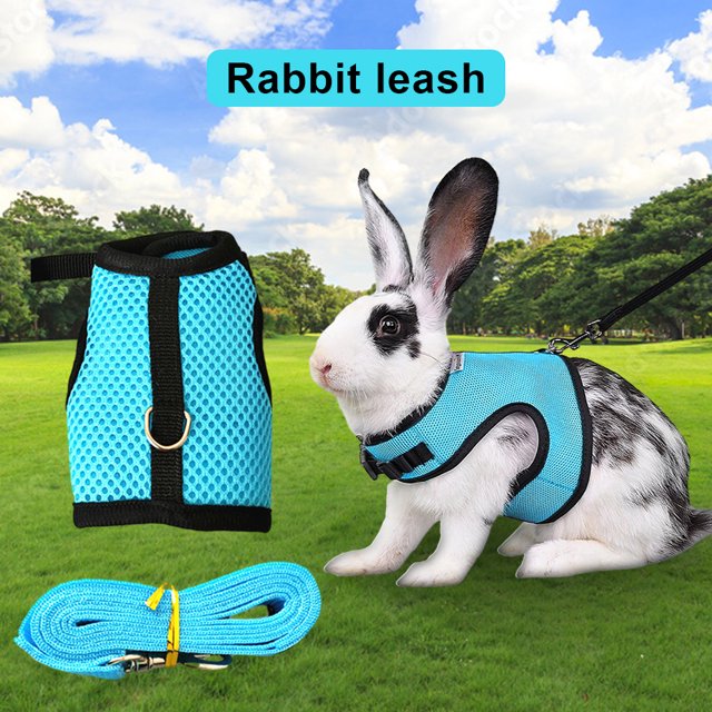 Becaristey Hamster Mesh Harness Leash Multiple Colors Available Lightweight Breathable And Lightweight Grey M
