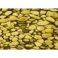 thumbnail image 1 of Ahgly Company Machine Washable Indoor Rectangle Transitional Bright Gold Yellow Area Rugs, 8' x 12', 1 of 7