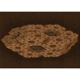 thumbnail image 1 of Ahgly Tapis Rectangulaire Lavable en Machine Intérieur Transitionnel Acajou Brun, 5 Pieds x 7 Pieds, 1 of 7