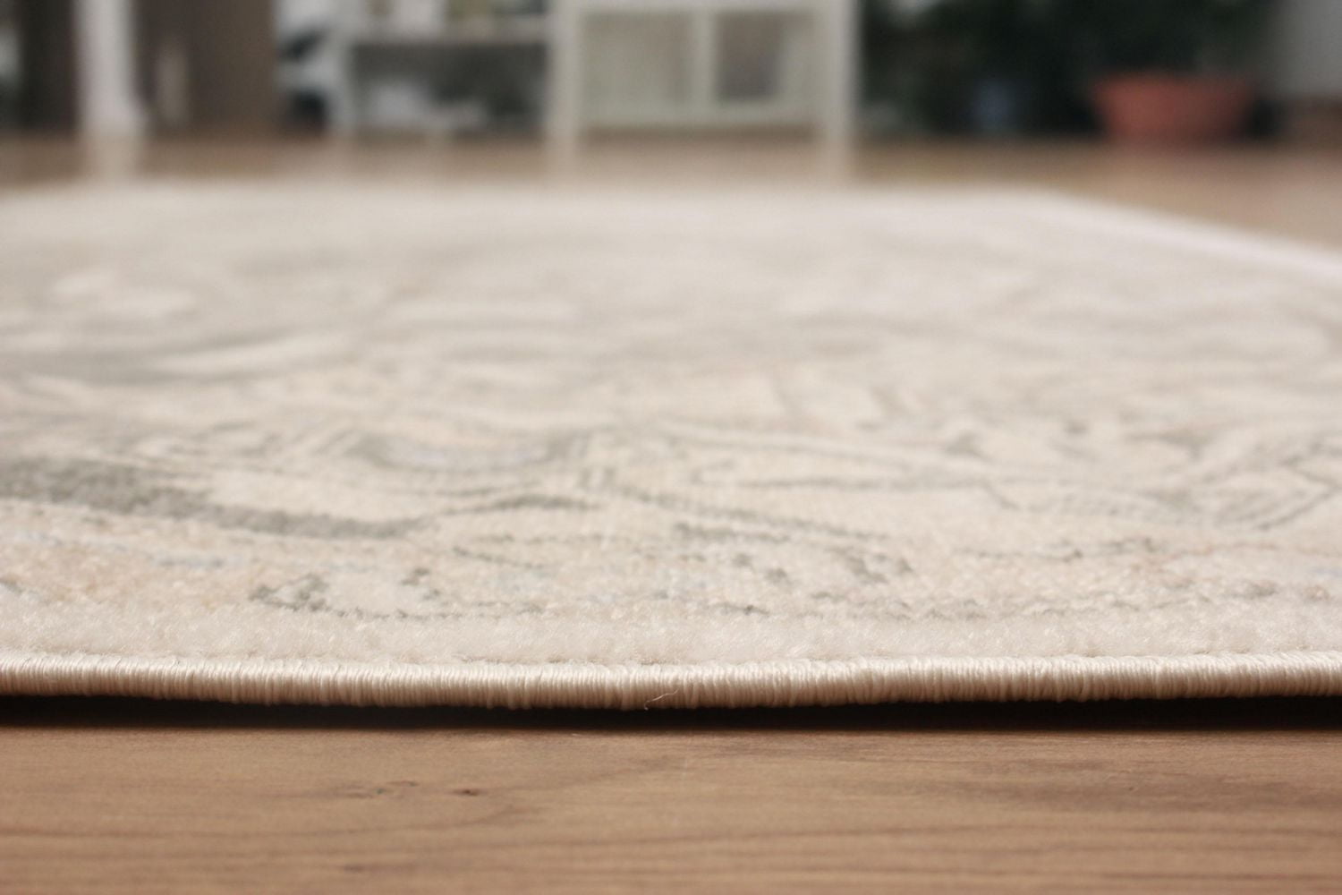 ECARPET Addie Traditional Area Rug for Living Room, Bedroom, Dining Entrance, Hallway and More.