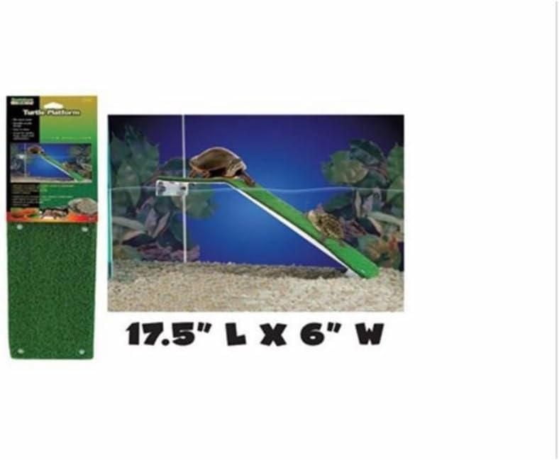 Plateforme pour tortue Reptology de Penn Plax