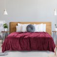 thumbnail image 3 of Unique Bargains Luxury Fleece Bed Blanket Woven Mesh, 3 of 10