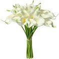 thumbnail image 1 of CHUANK 20pcs Artificial Calla Lily Silk Flowers 13.4” for Home Kitchen Wedding Table Decoration (White), 1 of 18