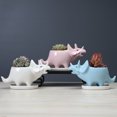 thumbnail image 1 of Flmtop 3D Cartoon Flowerpot Drain Hole Ceramic Creative Triceratops Shape Flowerpot for Desktop, 1 of 9