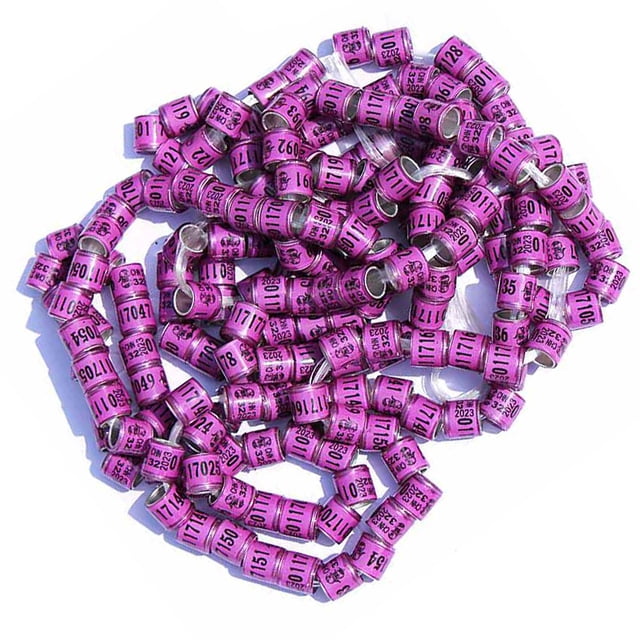 VONKY 50x 2023 Pigeon Leg Rings Bird Foot Bands for Bantam Finch Canary Purple