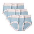 thumbnail image 1 of GigrtiJin Womens Multipack Cotton Underwear Mid Rise Seamless Invisible Briefs Strench Sweatproof Underpants 3 Pack, 1 of 2