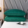 thumbnail image 1 of Danhjin Core Core Hotel-grade Pillow Core Soft And Supportive Down Bed Pillow Suitable for Back Side And Stomach Sleepers Made Of-friendly Fabric, 1 of 8