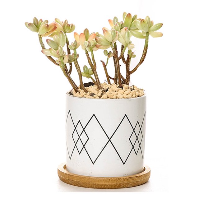 Plant Pot Cylindrical Flowerpot 7.5x7.6cm Geometric Pattern Simple Black White Nordic Style Home Decor Ceramic Vase