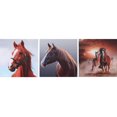 thumbnail image 1 of Canvas Wall Art (Chevaux) (Asstd) - Set of 3, 1 of 1