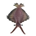 thumbnail image 4 of HILABEE Figurines Jouets Cognitifs Imperméables Fournitures Anomalocaris, 4 of 8