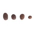 thumbnail image 4 of Hydroponic Clay Pebbles Growing Media  Drainage Water Purification Vase Balls Expanded Clay Pebbles Bonsai Decor, 4 of 8
