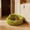Green, variant on 2026 Upgraded Indoor Pet Bed Portable Soft Covered Comfort Sleeping Mat for Cats and Puppies
