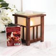 thumbnail image 2 of ScentSationals Scented Wax Cubes - Red Hot Cinnamon, 2 of 4