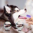 thumbnail image 3 of TIELUTT Kit de Brosse à Dents pour Chien Brosse à Dents pour Doigts pour Chiens Brosse à Dents pour Doigts pour Chien Accessoires pour Chien pour Chiots Accessoires Anglais Accessoires pour Élevage de Chiens Accessoires pour Toilettage Labradoodle Access, 3 of 3
