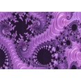 thumbnail image 1 of Ahgly Company Tapis de Zone Rectangulaire Transitionnel Violet pour Intérieur, Lavable à la Machine, 2 Pieds x 4 Pieds, 1 of 7