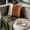 Brun 2, variante sur onlyliua Offre à Durée Limitée Housse de Coussin Housse de Coussin en Velours Coussin de Chevet Coussin de Sofa Housse de Coussin Lombaire