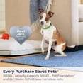 thumbnail image 3 of BISSELL Little Green® Max Pet Portable Carpet Cleaner 3857, 3 of 6