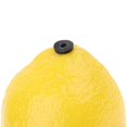 thumbnail image 4 of 1pc Fruit Shaker Percussion Instrument Musical Toy for Children Kids Lemon, 4 of 7
