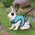 thumbnail image 3 of Ruiboury Small Pet Harness With Multiple Colors Available Breathable And Lightweight Orange L, 3 of 6