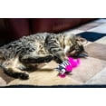 thumbnail image 2 of Multipet Safari Feather Mice Cat Toy, Assorted Colors, 2 of 8