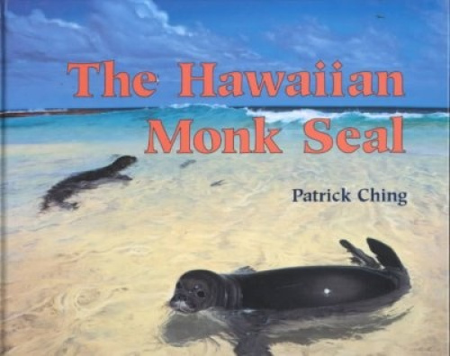 Ching, le Phoque Moine Hawaïen