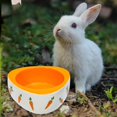thumbnail image 2 of thinsony Non Slip Rabbit Feeder Bowl Feeding Basin for Hedgehog Gerbils Puppy Kitten 11cmx4.5cm Triangle, 2 of 9