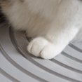 thumbnail image 5 of IRIS Bac à Litière pour Chat à Entrée par le Haut, Noir/gris Clair, 5 of 5