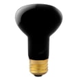 thumbnail image 2 of Lampe de Chauffage pour Animaux de Compagnie, Conception Ergonomique à Installation Rapide pour l'Intérieur, 2 of 8