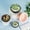 A1, variant on Flowerpots with Dish Ceramic, Plastic Pots for Plants with Saucers Indoor Set of 1 Plastic Planters Modern Flower Pot with Hole for All House Plants Herbs Flowers and Seeding Nursery, Flower Pots