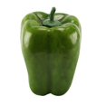 thumbnail image 1 of Coofit Artificial Pepper Foam Lifelike Realistic Creative Faux Pepper Fake Pepper, 1 of 10