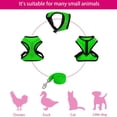 thumbnail image 3 of Chicken Leash Pet Chicken Leash Pet Leash, 3 of 5