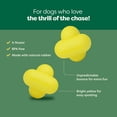 thumbnail image 4 of Earth Rated FetchDuo Dog Toy, Floating, Bouncing Fetch Balls for Dogs, 2-pack, 4 of 8